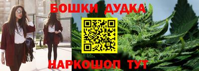 индика Изобильный
