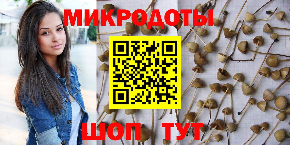 Псилоцибиновые грибы мухоморы  Вход с VPN  Псилоцибиновые грибы мицелий  купить   Кингисепп 